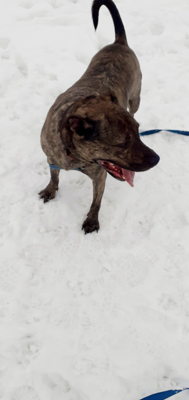 20241220_121736(0)[1]