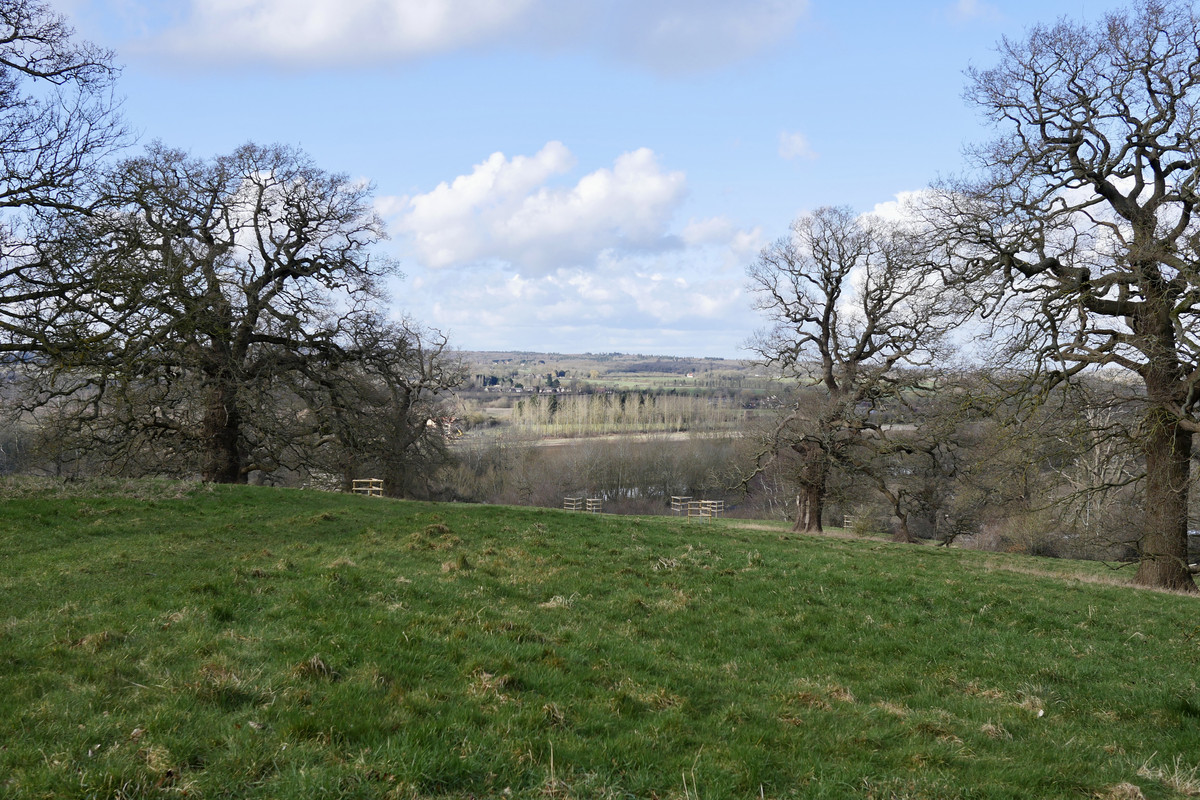 148CA66E-6FE7-4650-90C9-E4EEE15CEFB6