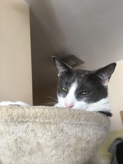 2495-CE0-B-B37-E-4574-9144-9-F4-EEFD78-F