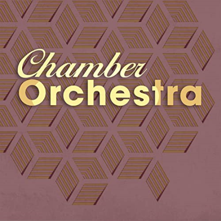 VA  Chamber Orchestra (2022)