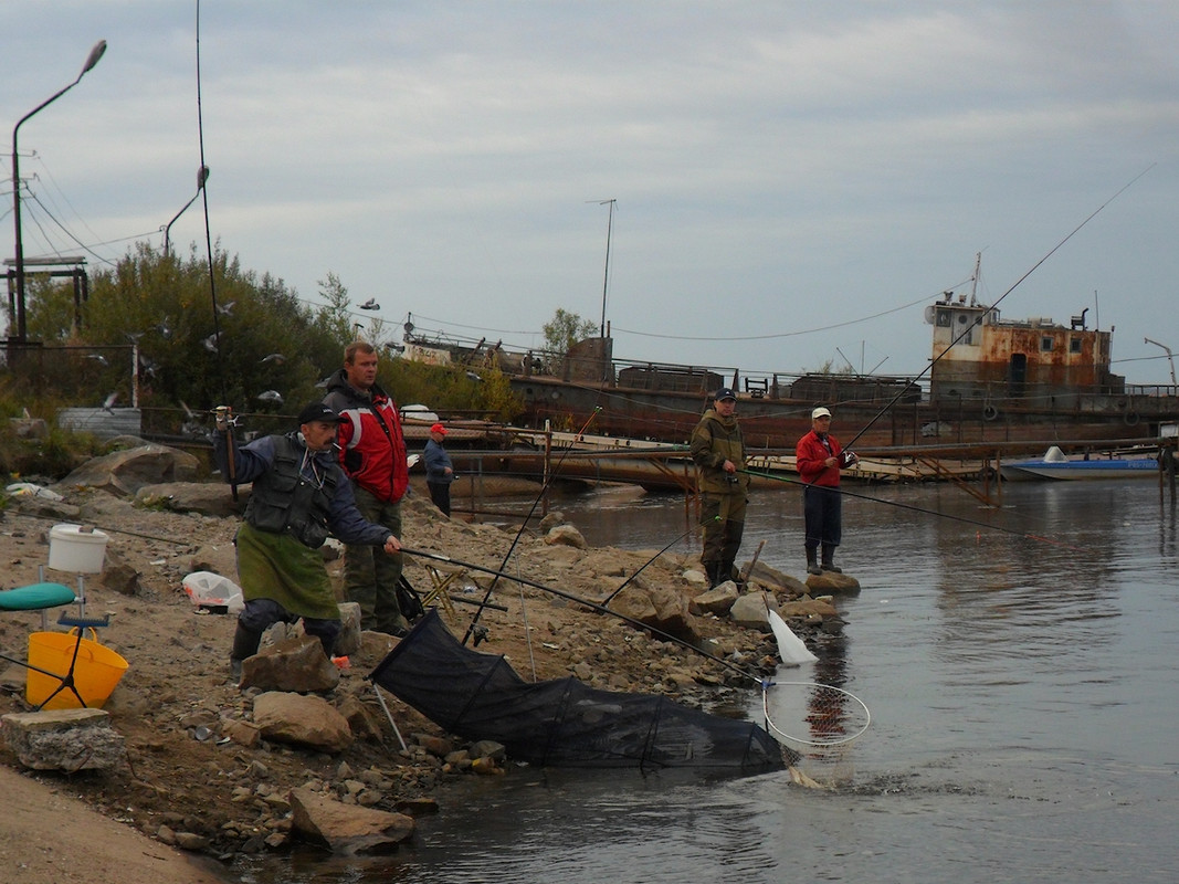 Добрянка 18.09.13 г 01