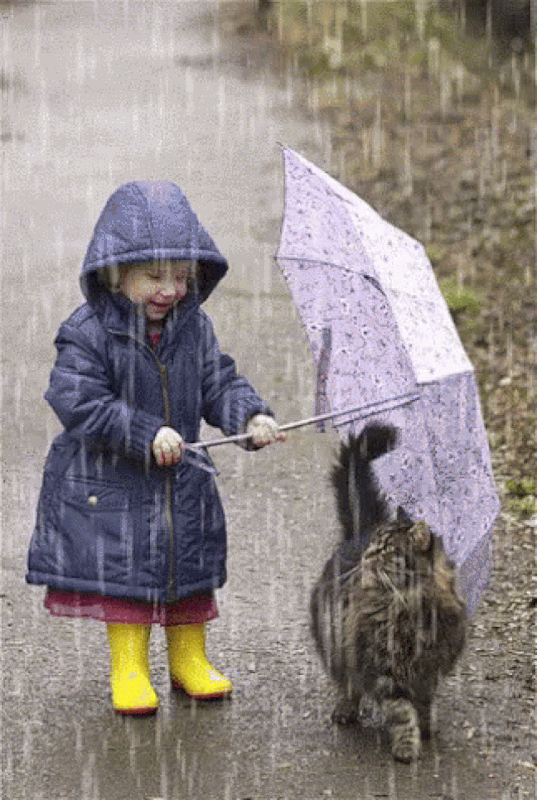An den Beitrag angehängtes Bild: https://i.postimg.cc/vZ8mTqcK/oie-2875554d-QRCEkzo.gif