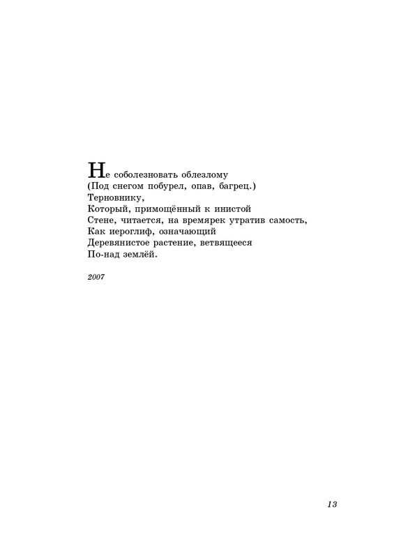 eremin-stikhotvoreniya-kn4-2009-page-0014