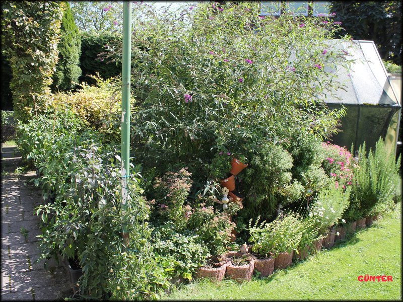 [Bild: Garten-03.jpg]
