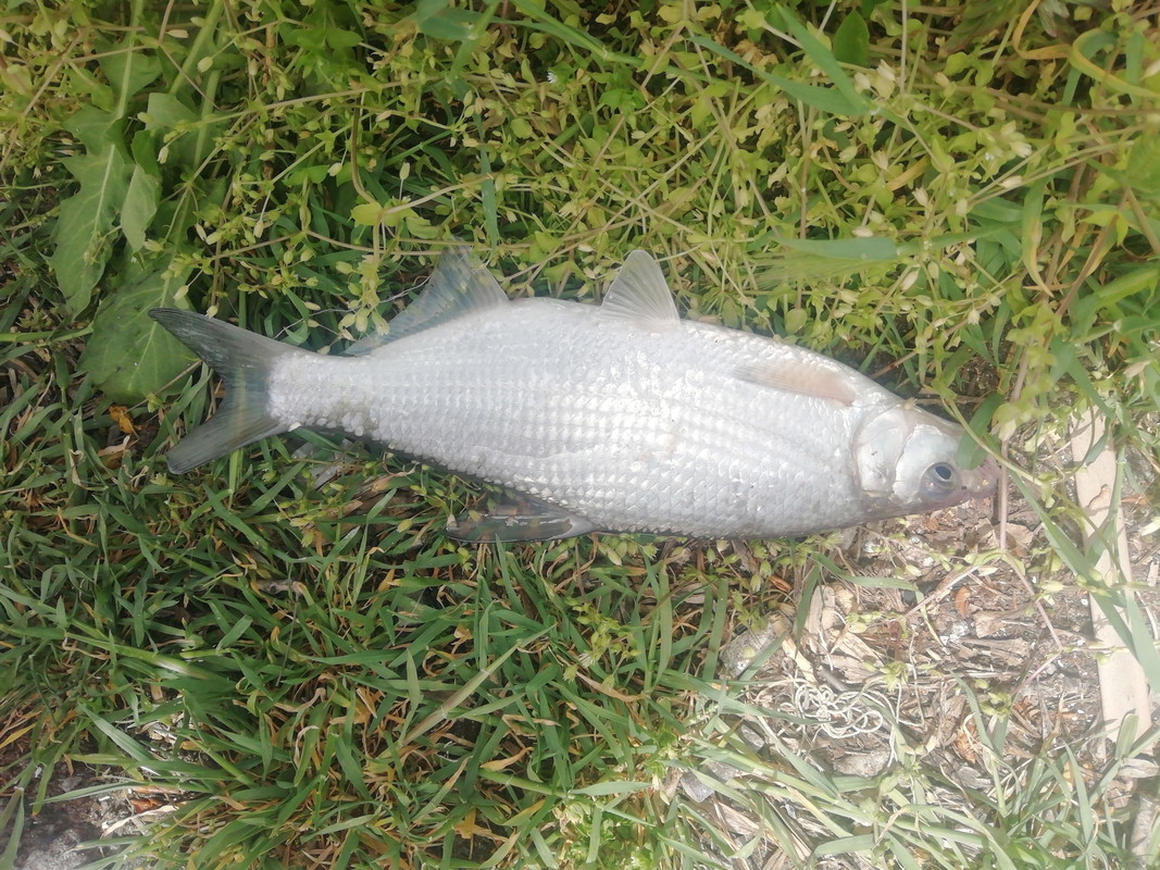 Изображение 1298