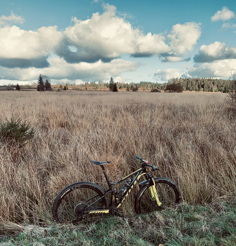 D7B1E726-1CEE-4292-919C-E08892D9B40C_1_201_a