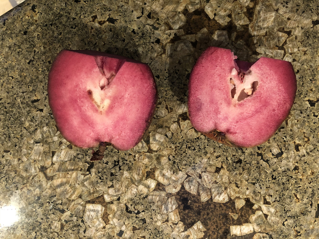 37C38C1E-8ACF-49E4-857F-55AEE15973EA