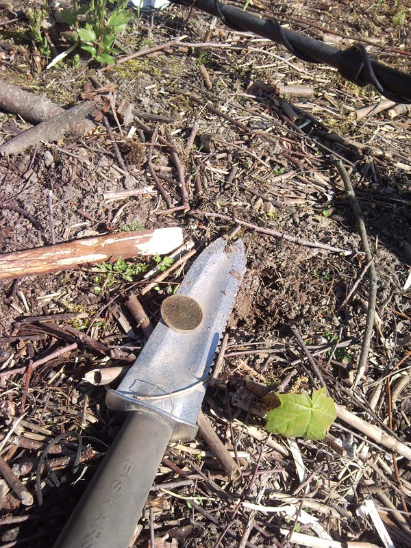 2014-05-24 - 10 penniä 187x (rannalta)