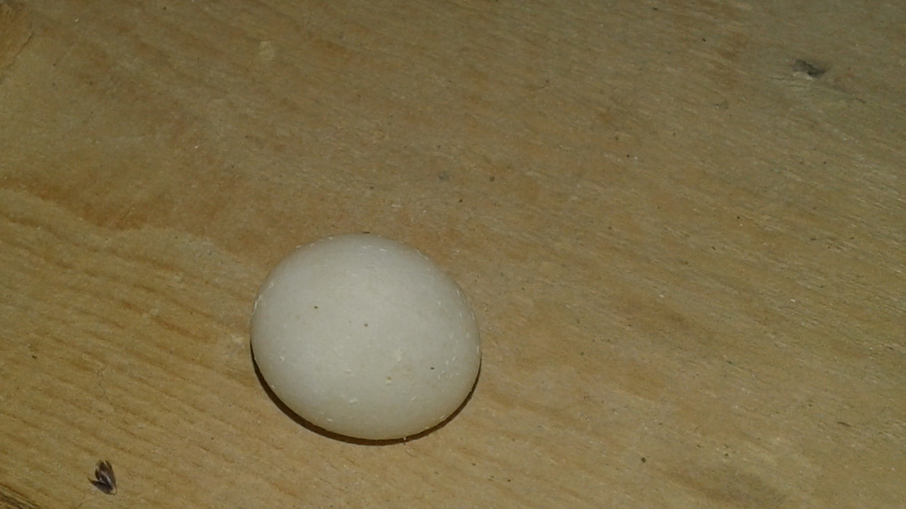 ٢?١٩?٣?٦_١٥١٢??