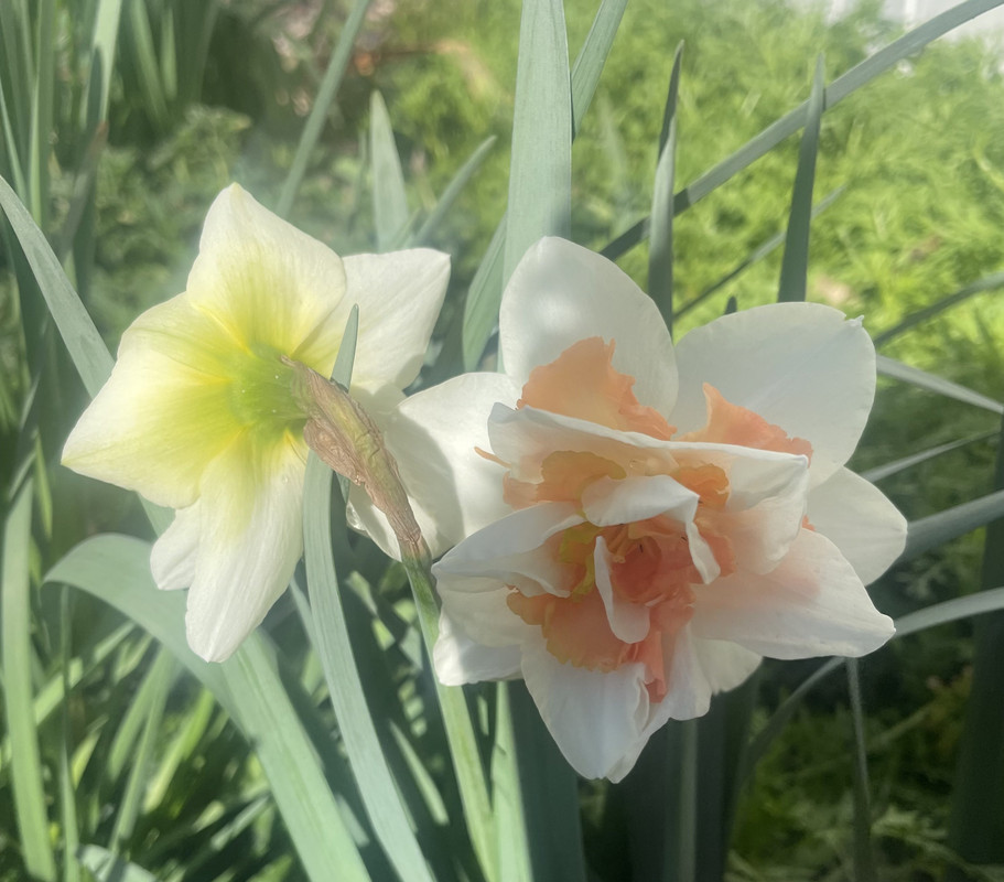 5871-FC97-77-F7-4306-B512-1353-BCD1-F252-1-201-a