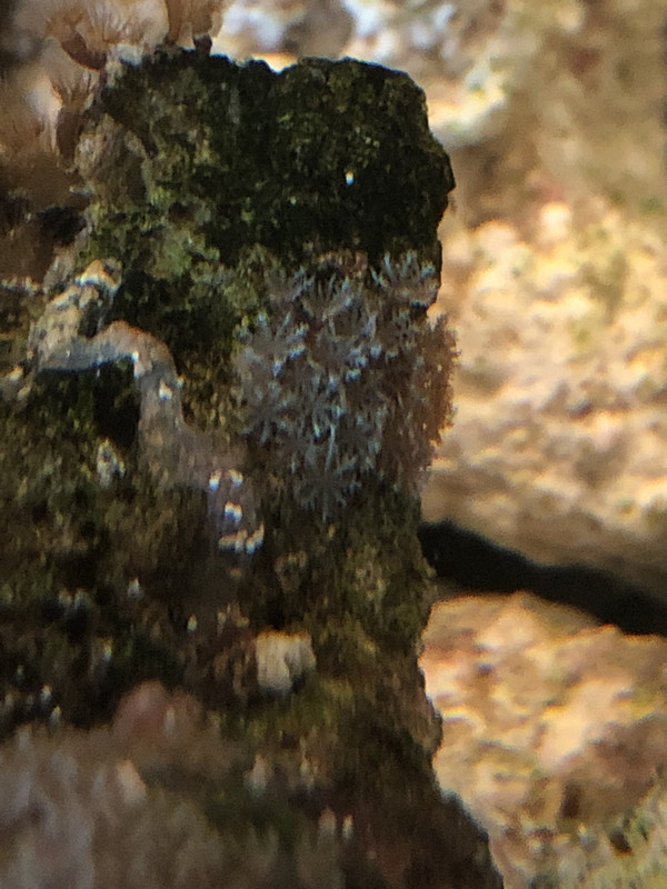 DD083DCE-52B6-43A6-9F8A-B088F223EFCB