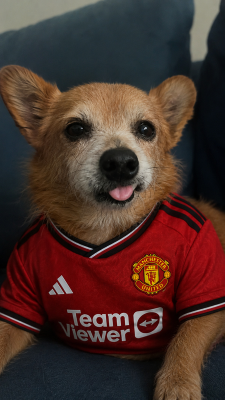 4F8E4676-C09B-433F-B235-73E97D7EC120.png