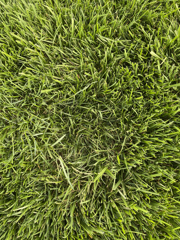 5FBBE97F-002E-4663-83A7-A9B7C80A9DA4