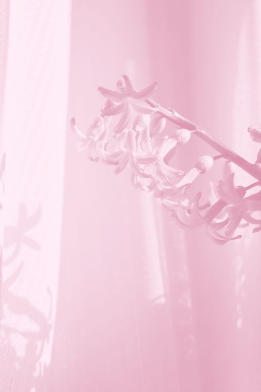 Spring25_6