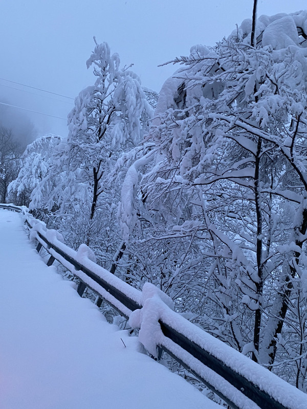 D7A9A917-C6EC-439A-84E3-302740348D0E