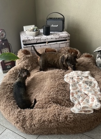 [Image: BE96-DE4-F-FF5-B-42-FE-9085-444-FE0-A4-C463.jpg]