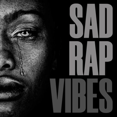3193e35c e843 45dd bae7 d08613b35a17 - VA - Sad Rap Vibes (2023)