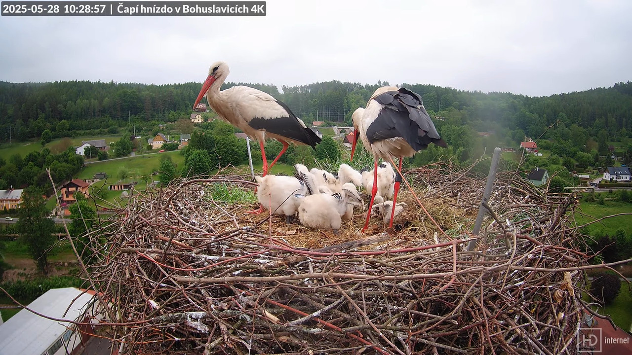 Tiešraide no KARA uzņēmuma stārķu skursteņa Bohuslavicē netālu no Trutnovas 11-42-57 screenshot