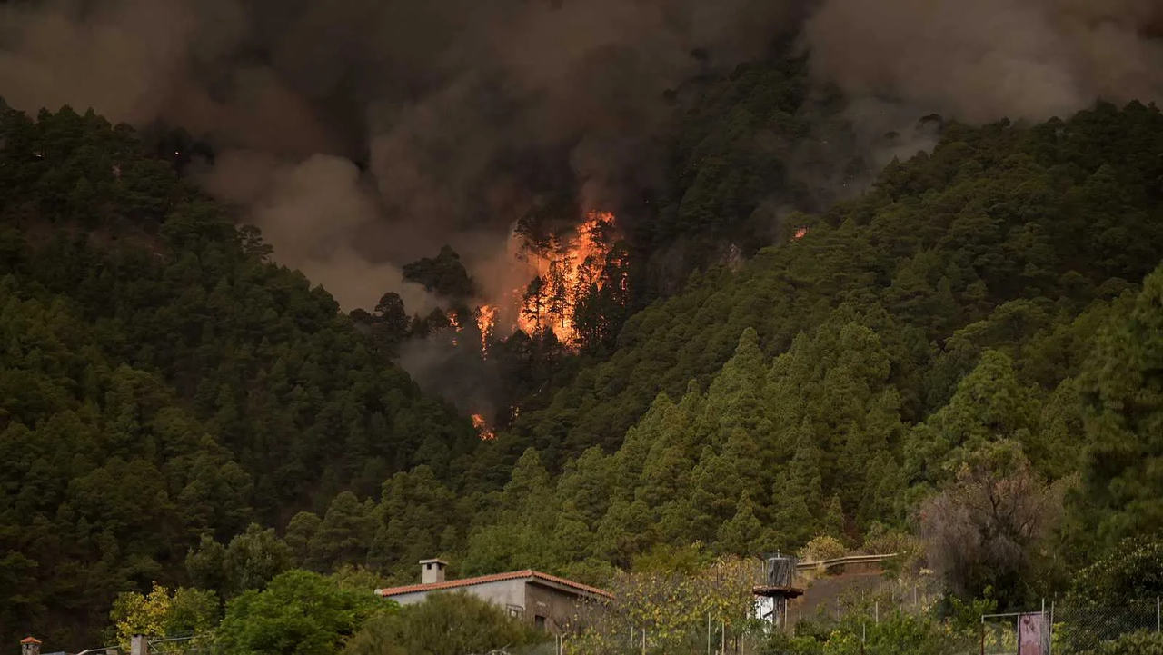 Incendio forestal de Tenerife sigue sin control y ya ha arrasado 1,800 hectáreas