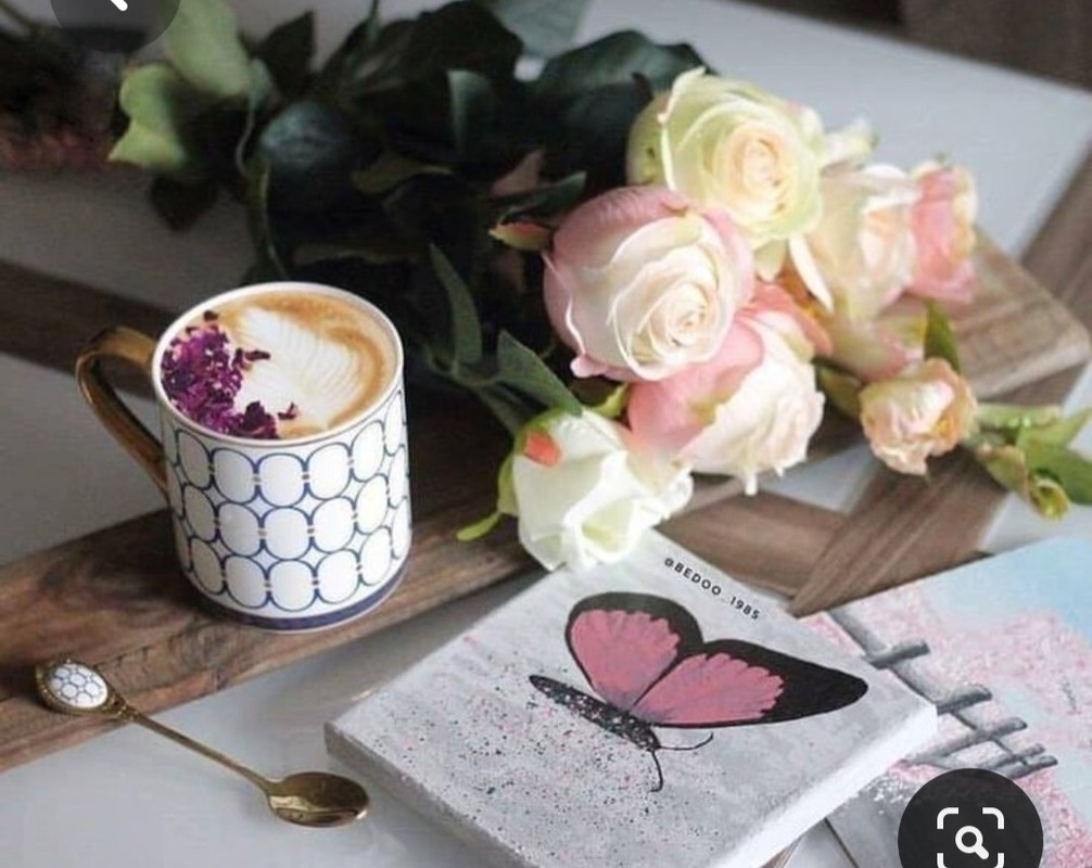 Screenshot_20230603_214428_Pinterest