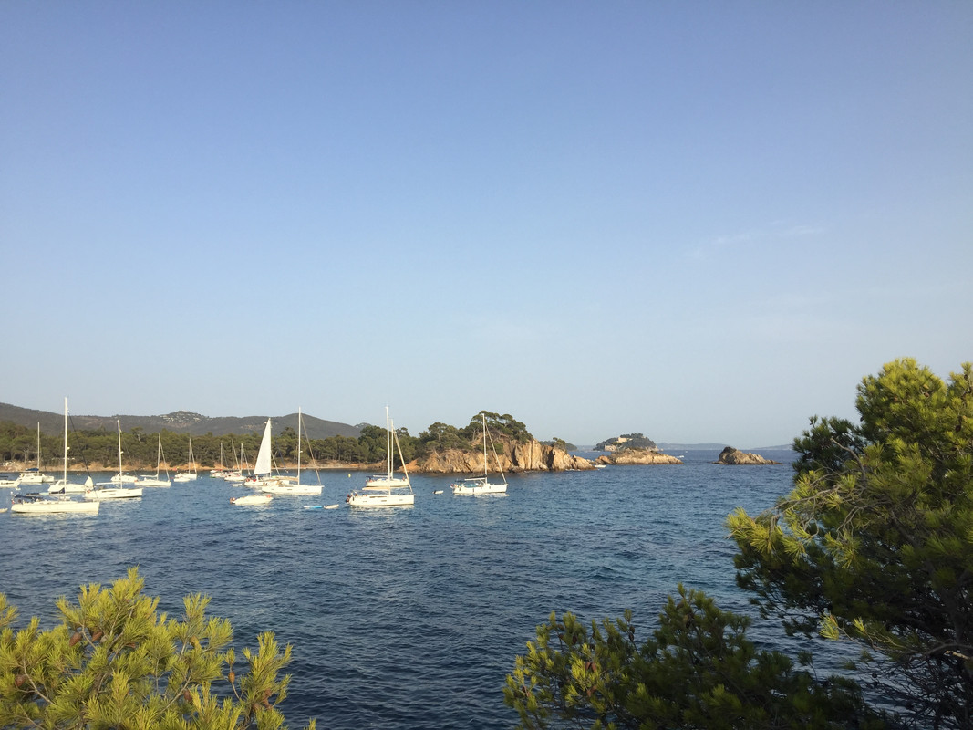 8547DB74-81D5-42A0-9D8F-9679C88A6D2A