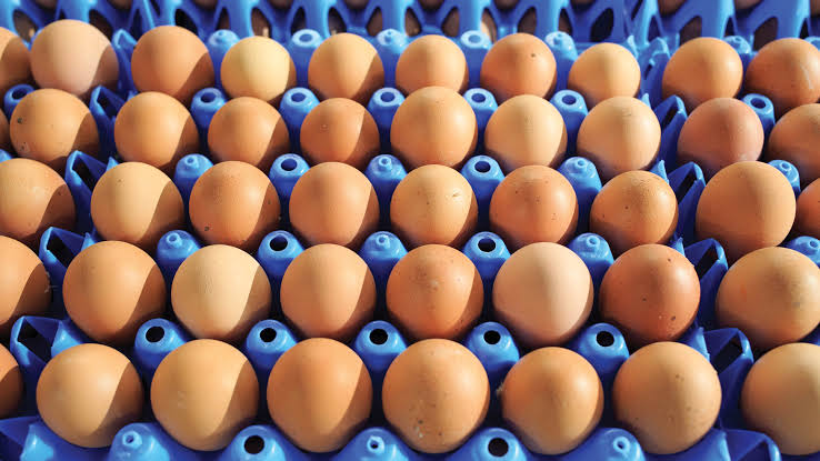 Eggs