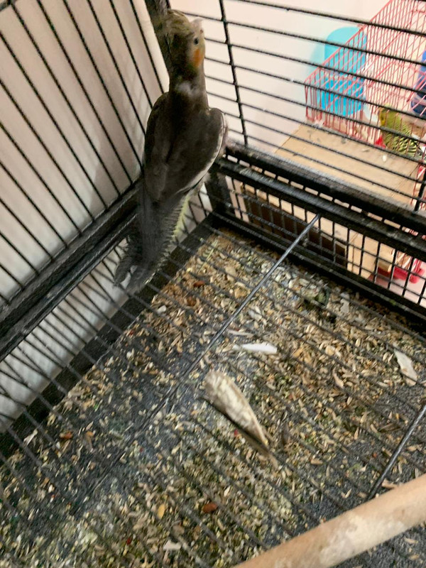 B9BC5966-8D65-49EE-A3B7-9E8ED94B487E