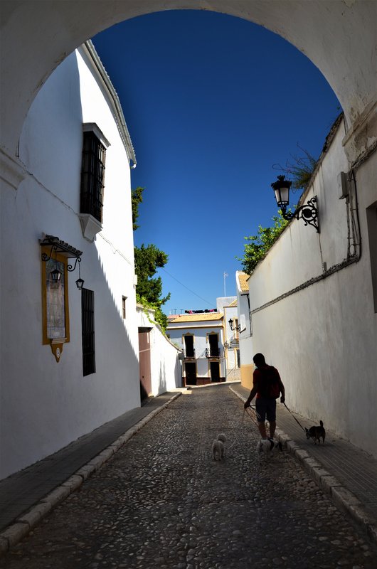 Córdoba y sus pueblos-2017/2020 - Blogs de España - AGUILAR DE LA FRONTERA-3-7-2020 (32)