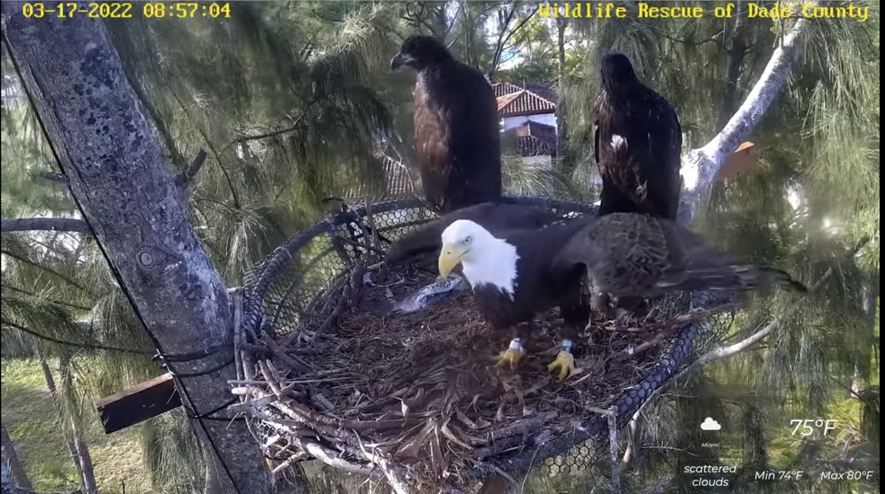 BB43F9CC-C4D2-4DE2-BD2A-9D065AA52153