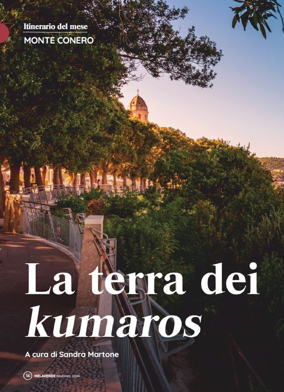 melaverde Giu 2024 (5)