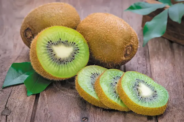kiwi.webp