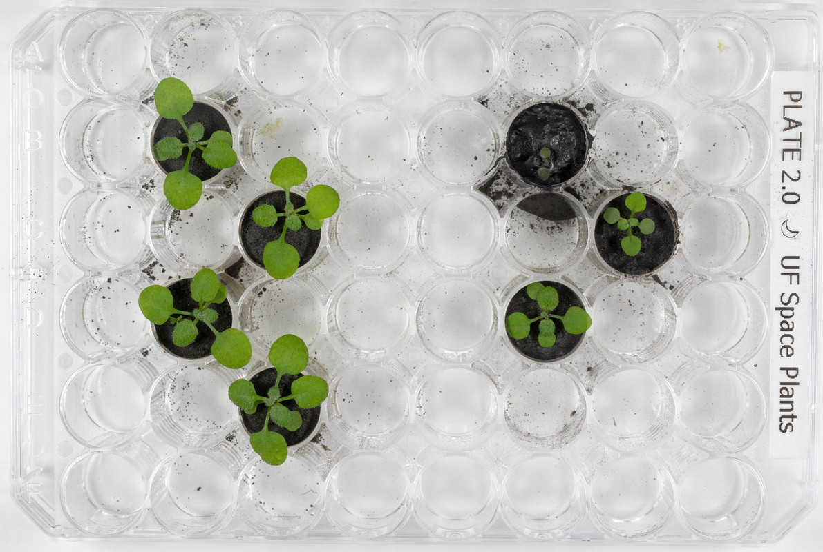 5O3KMNOT6VA5NEVIHZH2NGHVSI