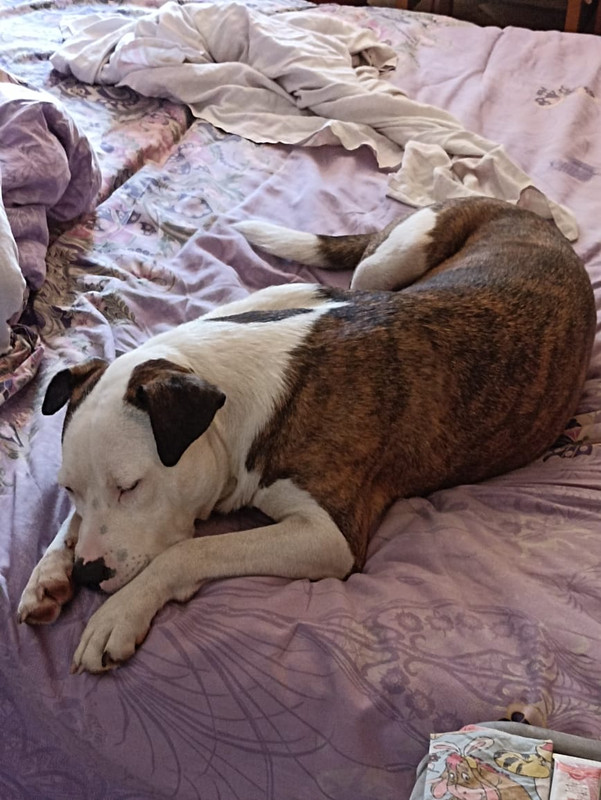 4C7E4A8E-0D7E-4E2C-88D7-95F863F2A560