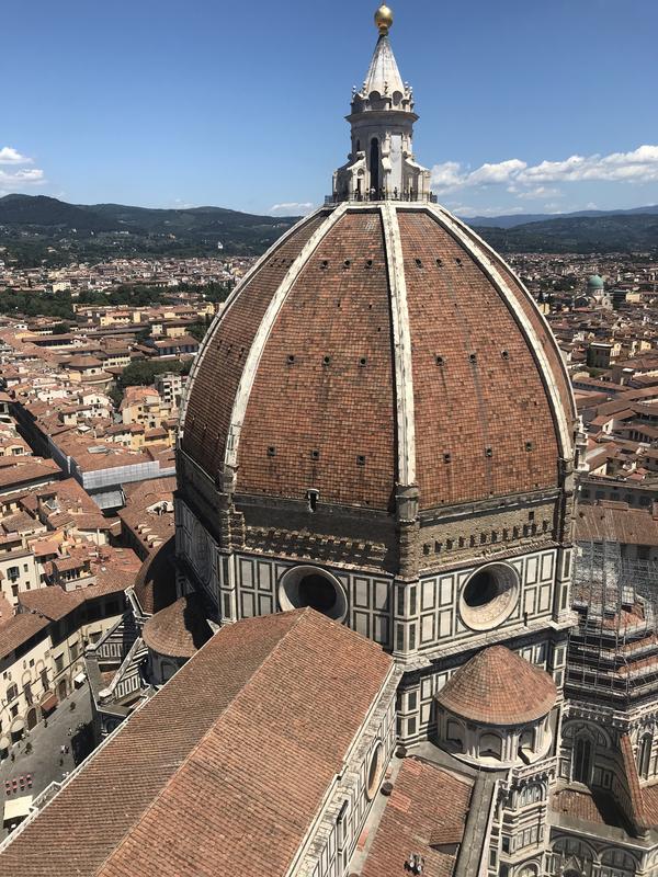 DIA 9: FLORENCIA I (PIAZZA SIGNORIA, ORSANMICHELLE, BARGELLO, CAMPANILE Y DUOMO) - ARTE, HISTORIA Y CIPRESES: TOSCANA 2019 (96)