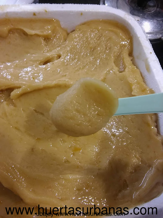 Huertasurbanas_com-huertasurbanas_com_20190218_002945ubajay_helado_icecream_-0.jpg-20211230_140944ub