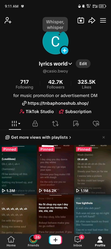 TikTok account with active followers