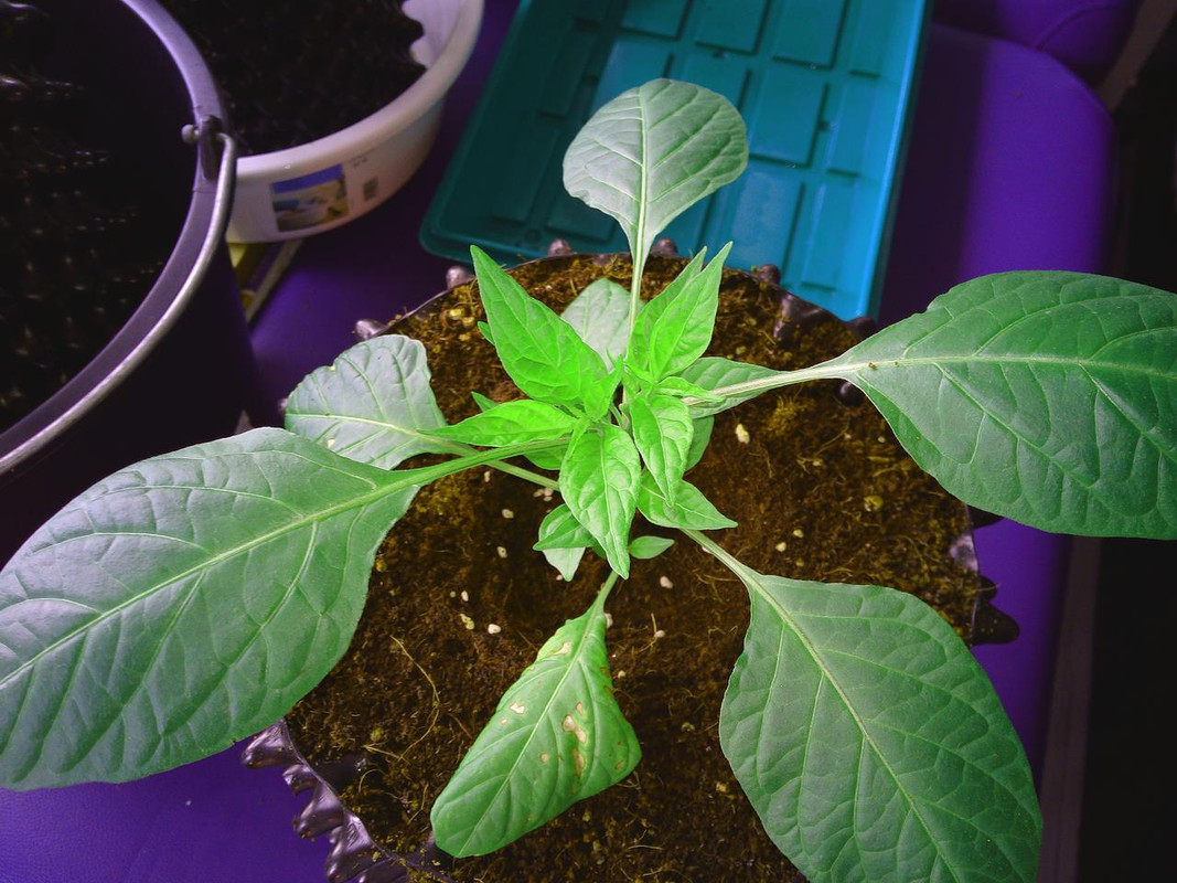 IMG_20180422_122108[1]