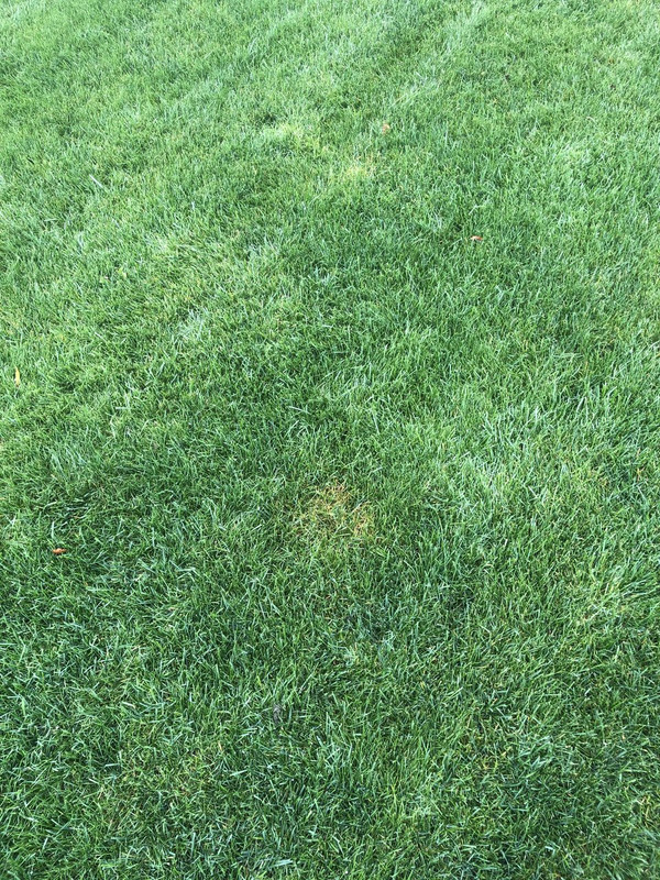 5ADEE11B-A49D-47D9-9ECA-2618C50B69D6