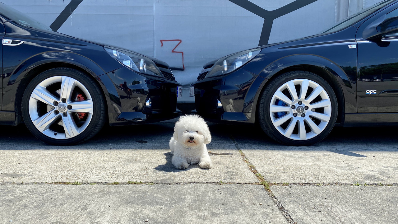 1A081136-ABC8-4897-B523-D37B927E017B