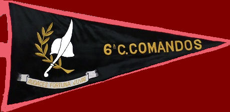 6-CCmds-RMA
