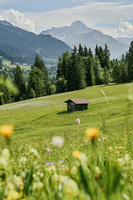green-alps.jpg