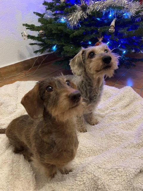 [Image: No-l-2022-211222.jpg]