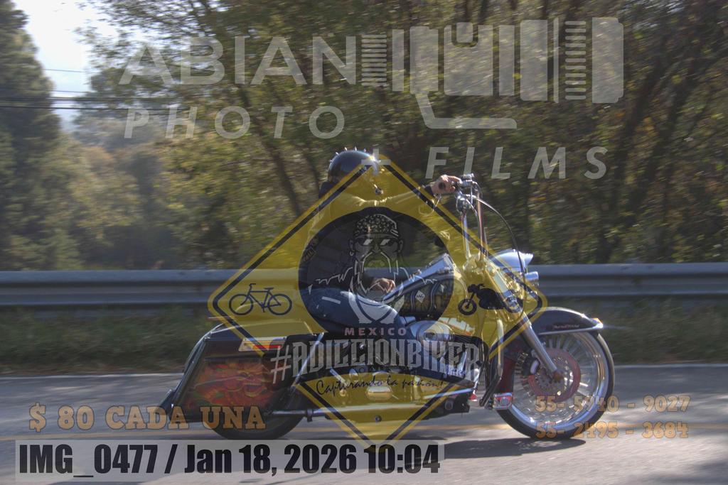 IMG 0477