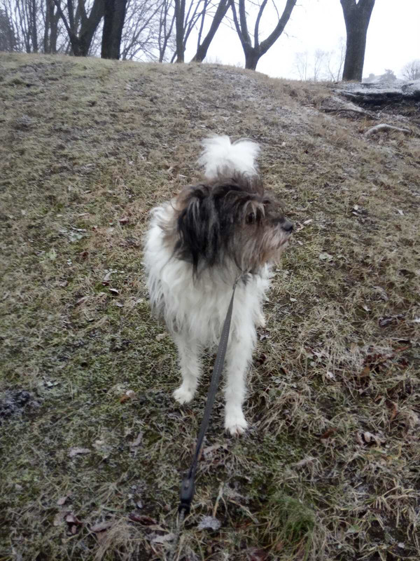 1C522CD7-5526-43CE-BBFE-7D401ED31889