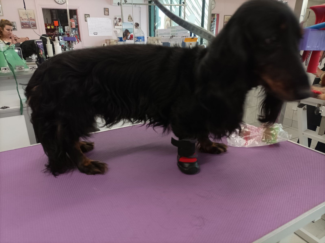 [Image: IMG-20230920-202304.jpg]