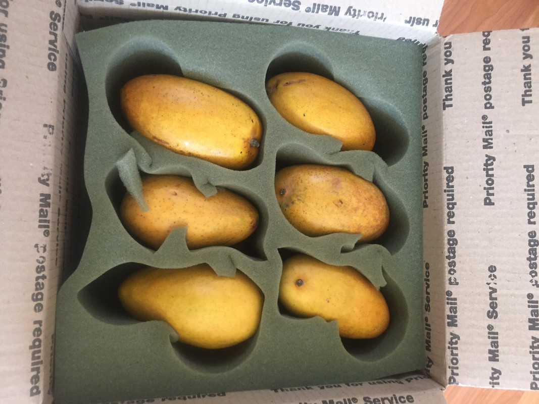 7A5C360C-FB47-4FC8-908E-11E0D2D1BA9D