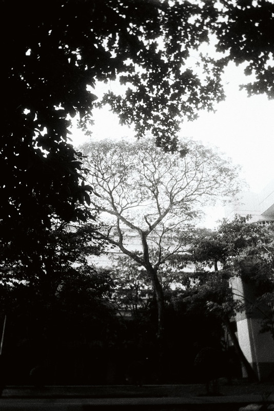 Double-XHF-118-resize