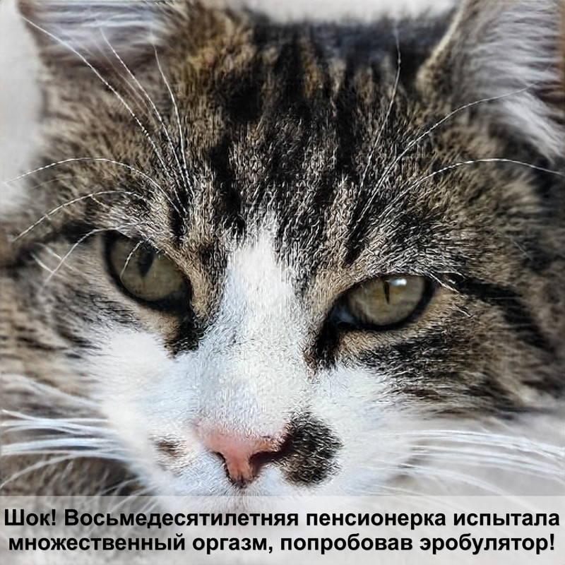 у кошки лезет шерсть