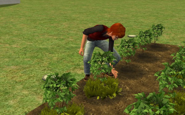 Lakewood_round3_010-600x375