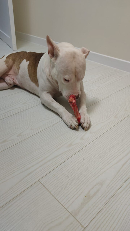 268F93B1-ECCF-46FD-8873-072F70C73AC4